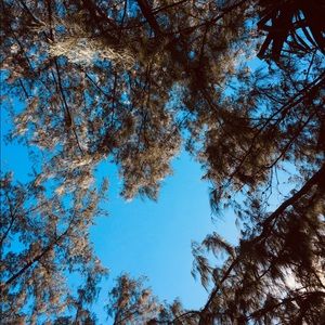 Meet your Posher, Char